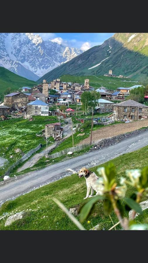 Chvibiani Guesthouse & Bar Ушгули Екстериор снимка